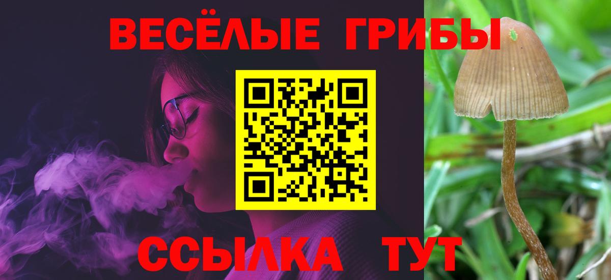 Карасук  Псилоцибиновые грибы прущие грибы  Вход с VPN  Галлюциногенные грибы прущие грибы 